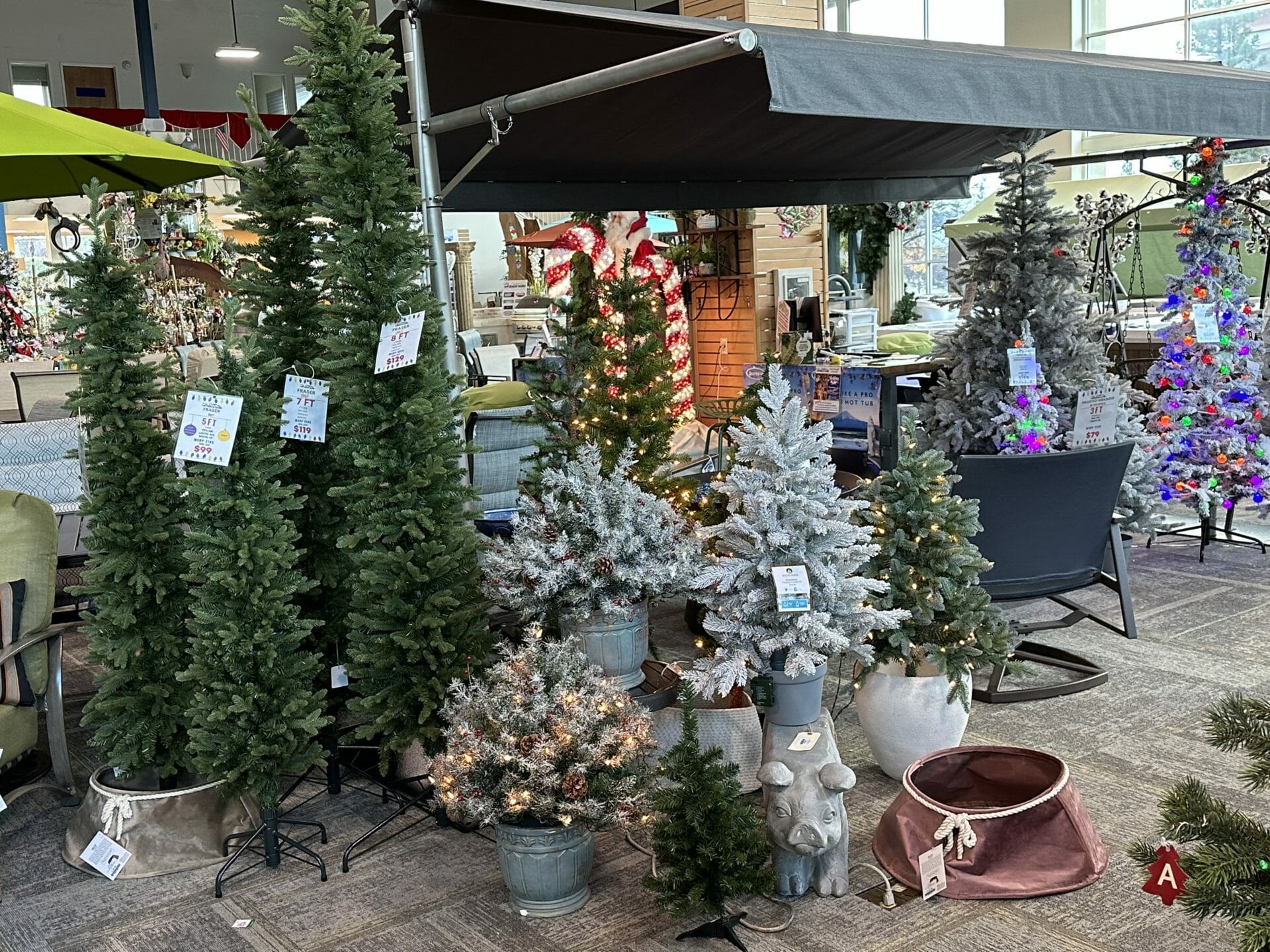 California discount backyard store