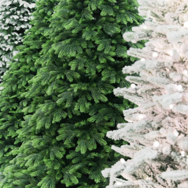 Istockphoto 1162103427 612x612