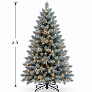 Blue Spruce 3.5